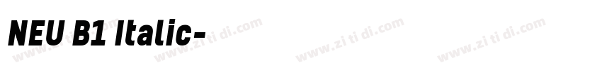 NEU B1 Italic字体转换 NEU B1 Italic字体转换